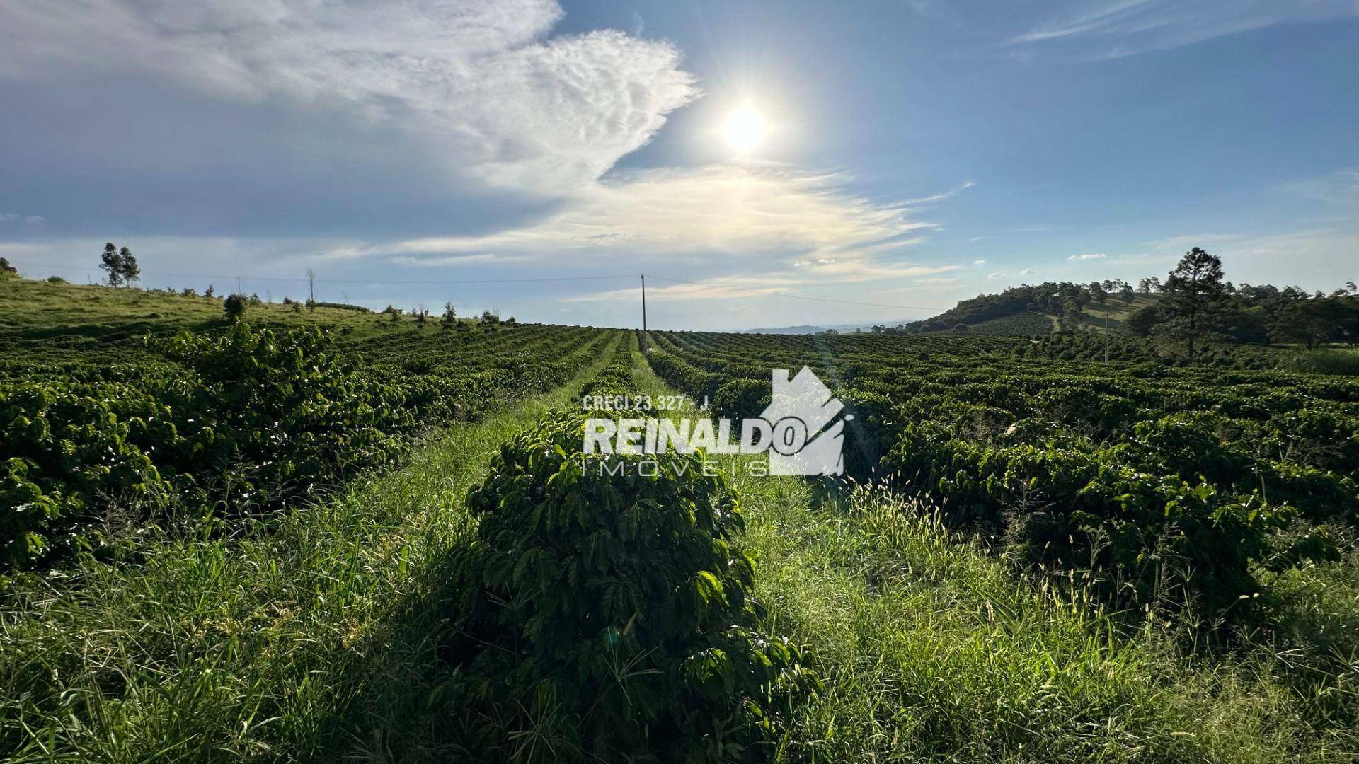 Fazenda à venda com 9 quartos, 5000m² - Foto 108