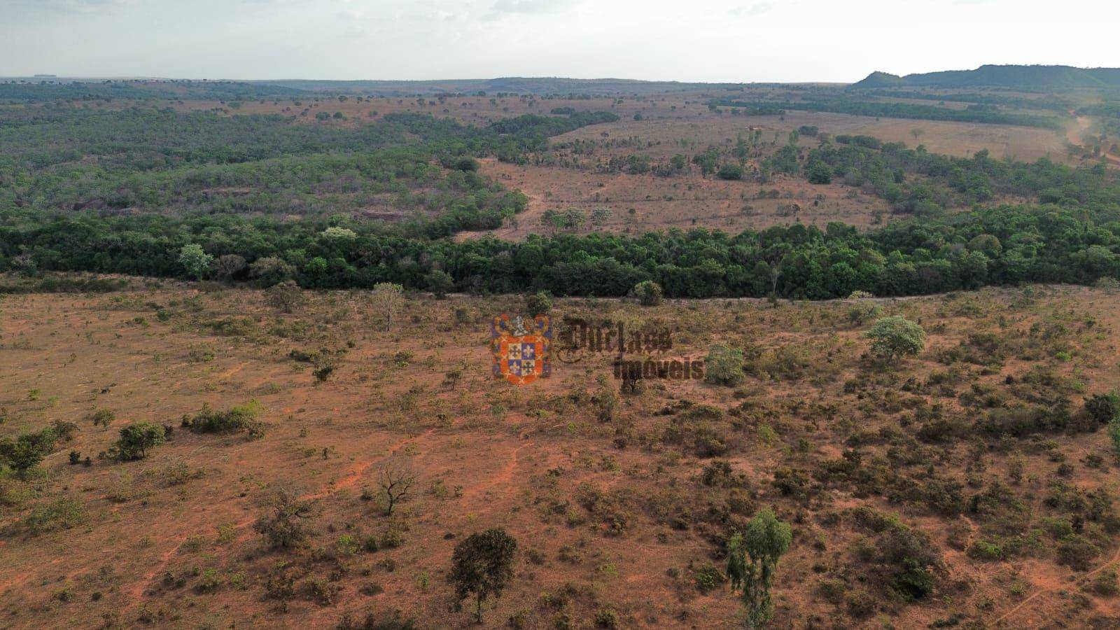 Fazenda, 3125 hectares - Foto 3
