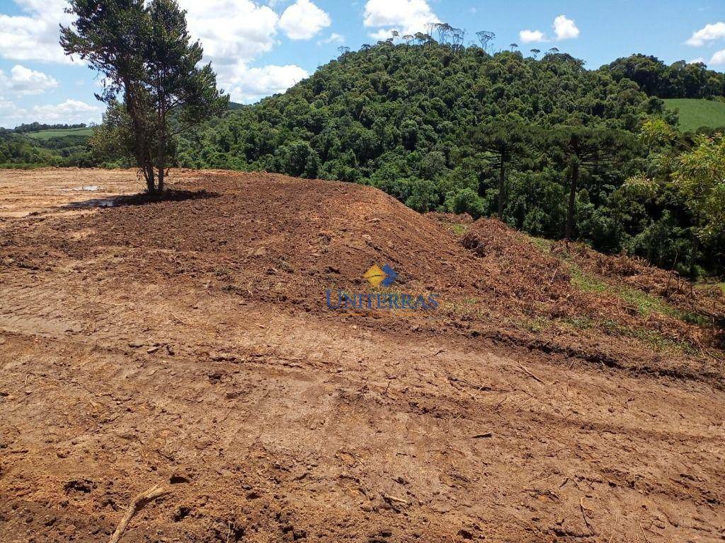 Chácara à venda, 10000M2 - Foto 6