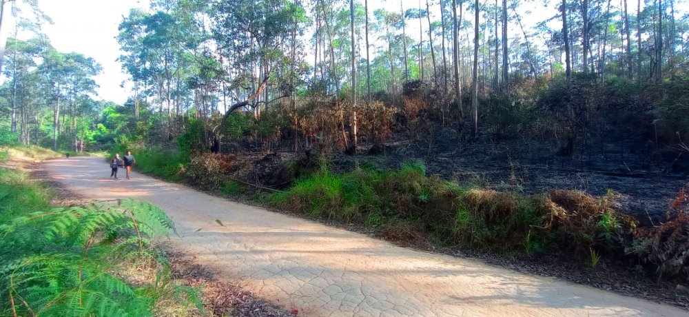 Fazenda à venda, 266200m² - Foto 3