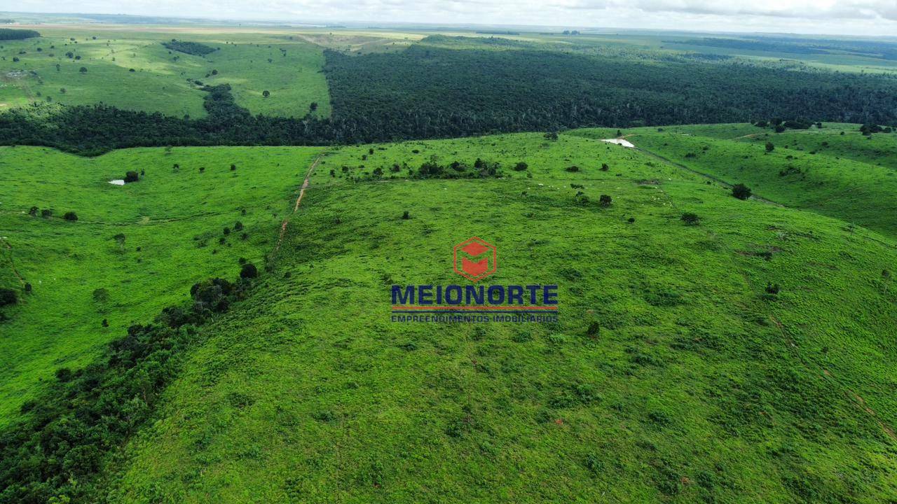 Fazenda à venda com 4 quartos, 4800000M2 - Foto 2