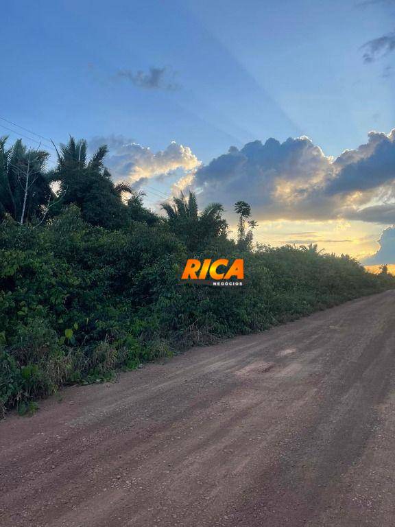 Fazenda, 100 hectares - Foto 7