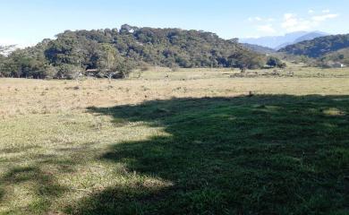 Fazenda à venda com 2 quartos, 270000m² - Foto 16