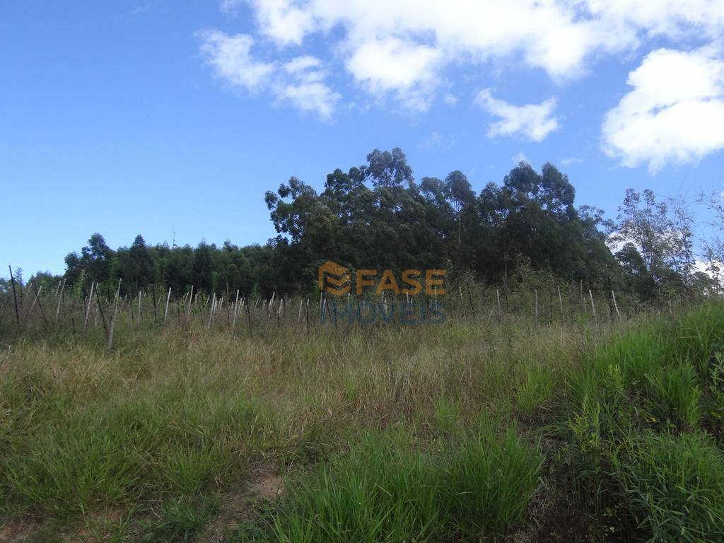 Terreno, 10 hectares - Foto 10