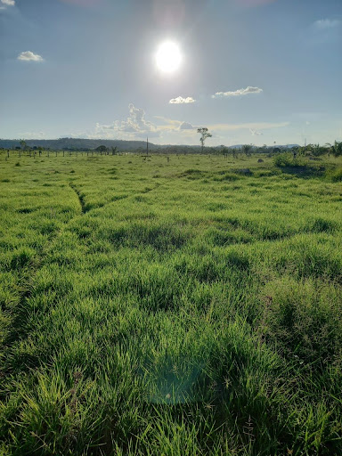 Sítio à venda, 508200M2 - Foto 11