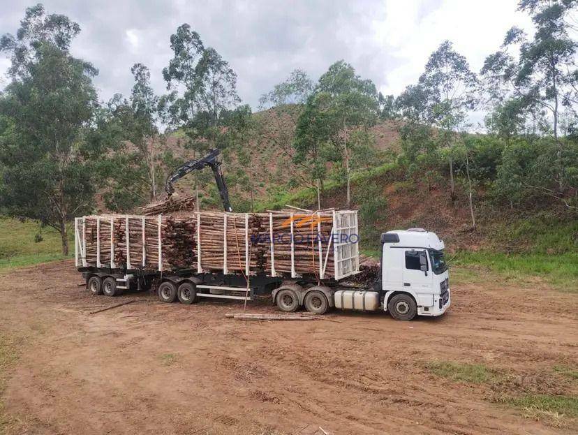 Fazenda à venda, 1210000M2 - Foto 5