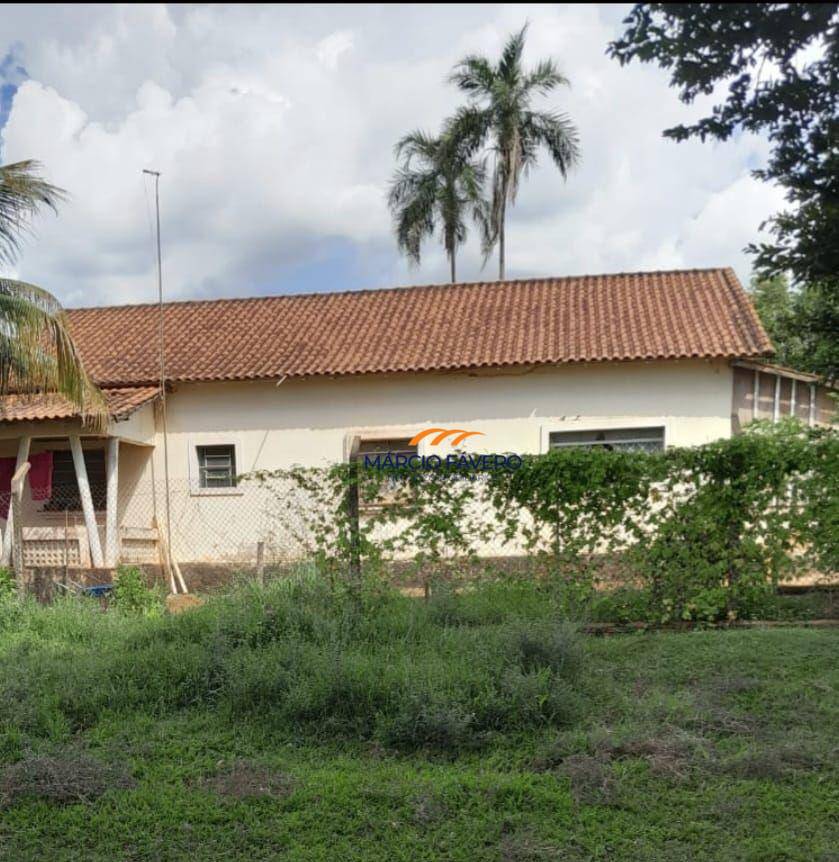 Fazenda, 339 hectares - Foto 3