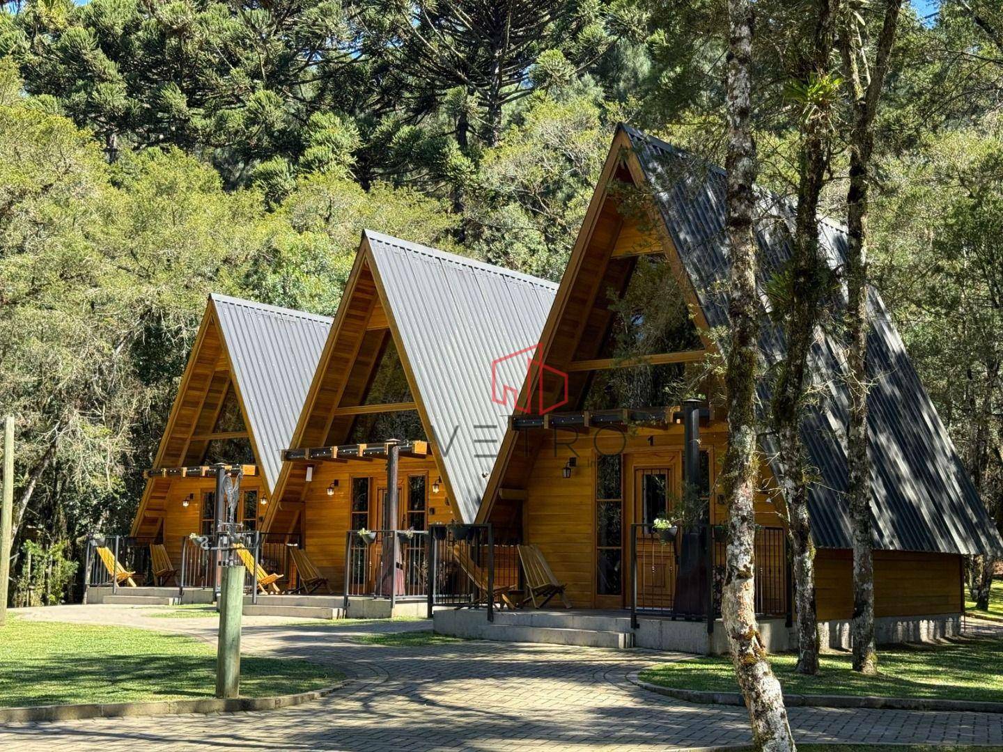 Sítio, 5 quartos, 3 hectares - Foto 1