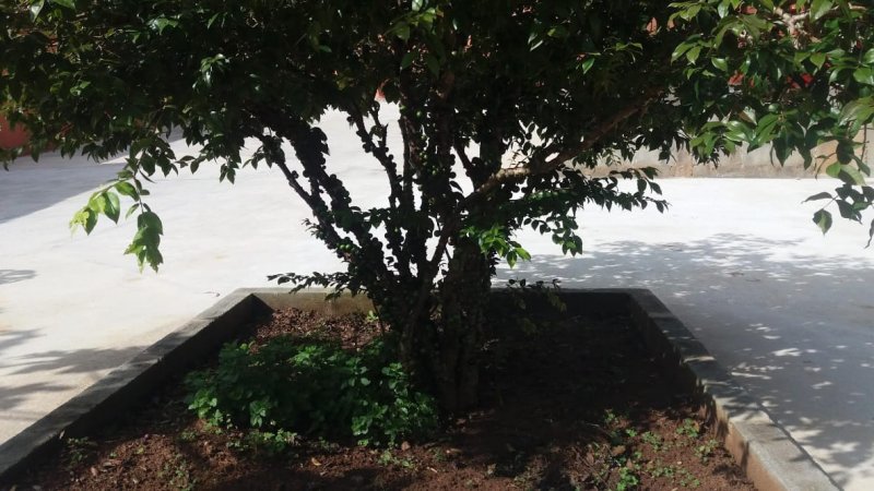 Chácara à venda com 3 quartos, 63m² - Foto 24