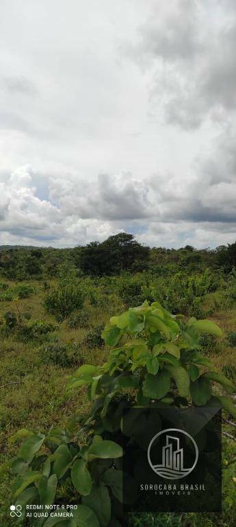 Fazenda à venda, 26790000M2 - Foto 6