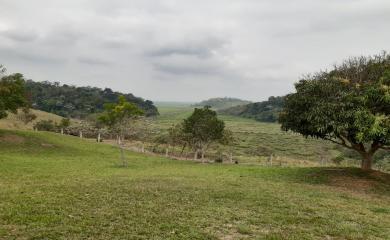Sítio à venda com 3 quartos, 87000m² - Foto 24