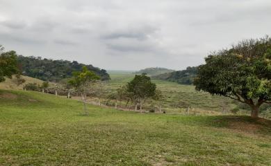 Fazenda à venda com 3 quartos, 87000m² - Foto 24