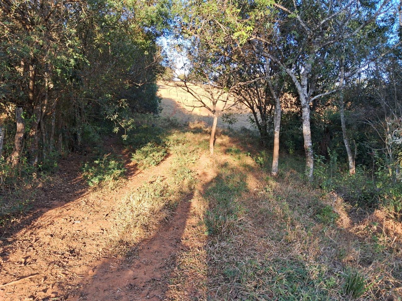 Fazenda à venda, 36000m² - Foto 11