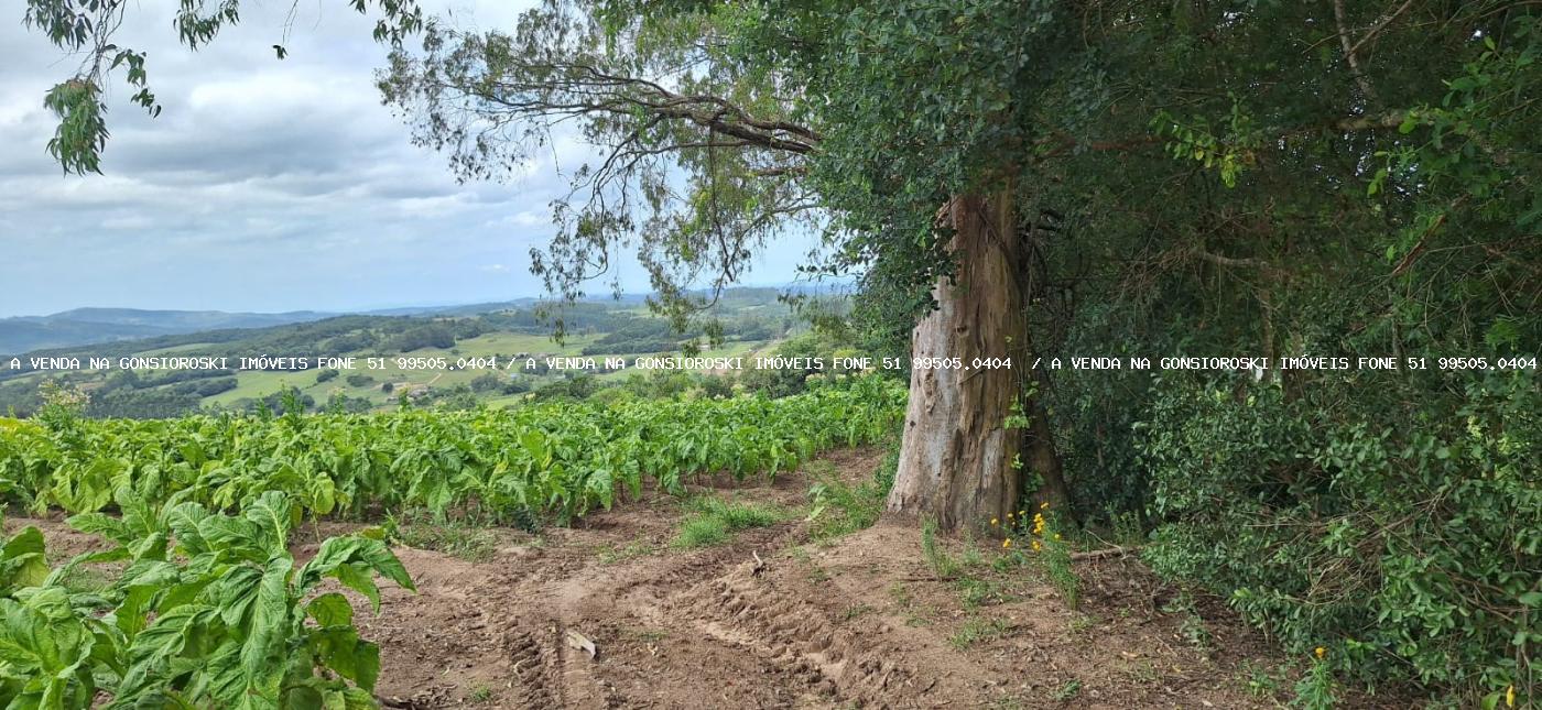 Loteamento e Condomínio à venda, 125000m² - Foto 9
