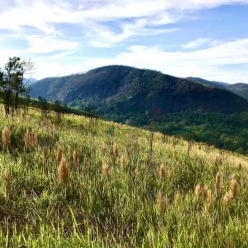 Loteamento e Condomínio à venda, 816M2 - Foto 4