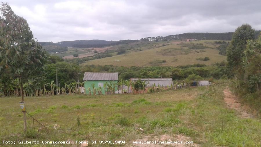 Fazenda à venda com 2 quartos, 35000m² - Foto 5