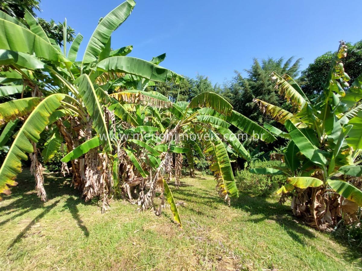 Chácara à venda com 4 quartos, 1000m² - Foto 19