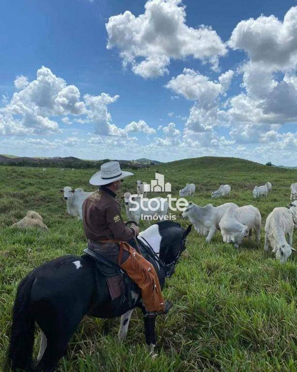 Fazenda à venda, 60000000M2 - Foto 5