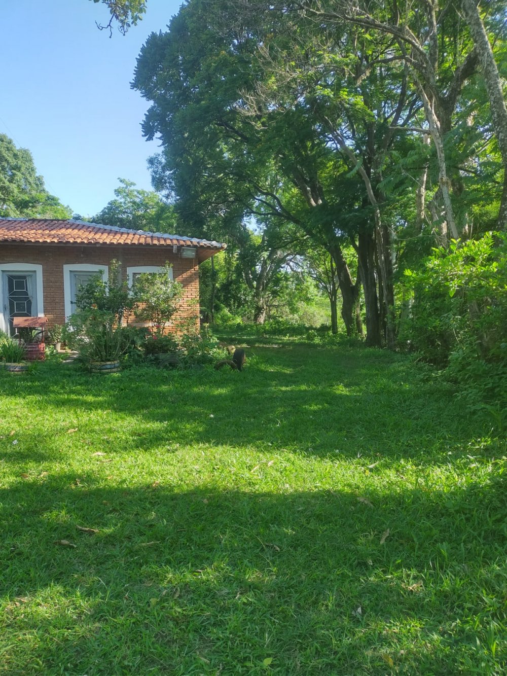 Sítio, 308 m² - Foto 4