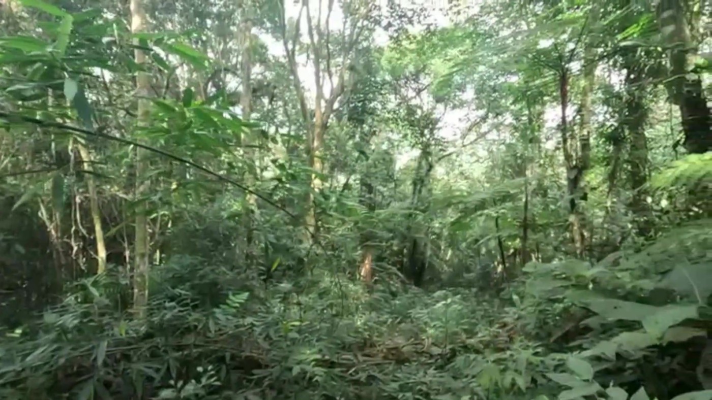 Casa de Condomínio à venda com 2 quartos, 7000m² - Foto 27