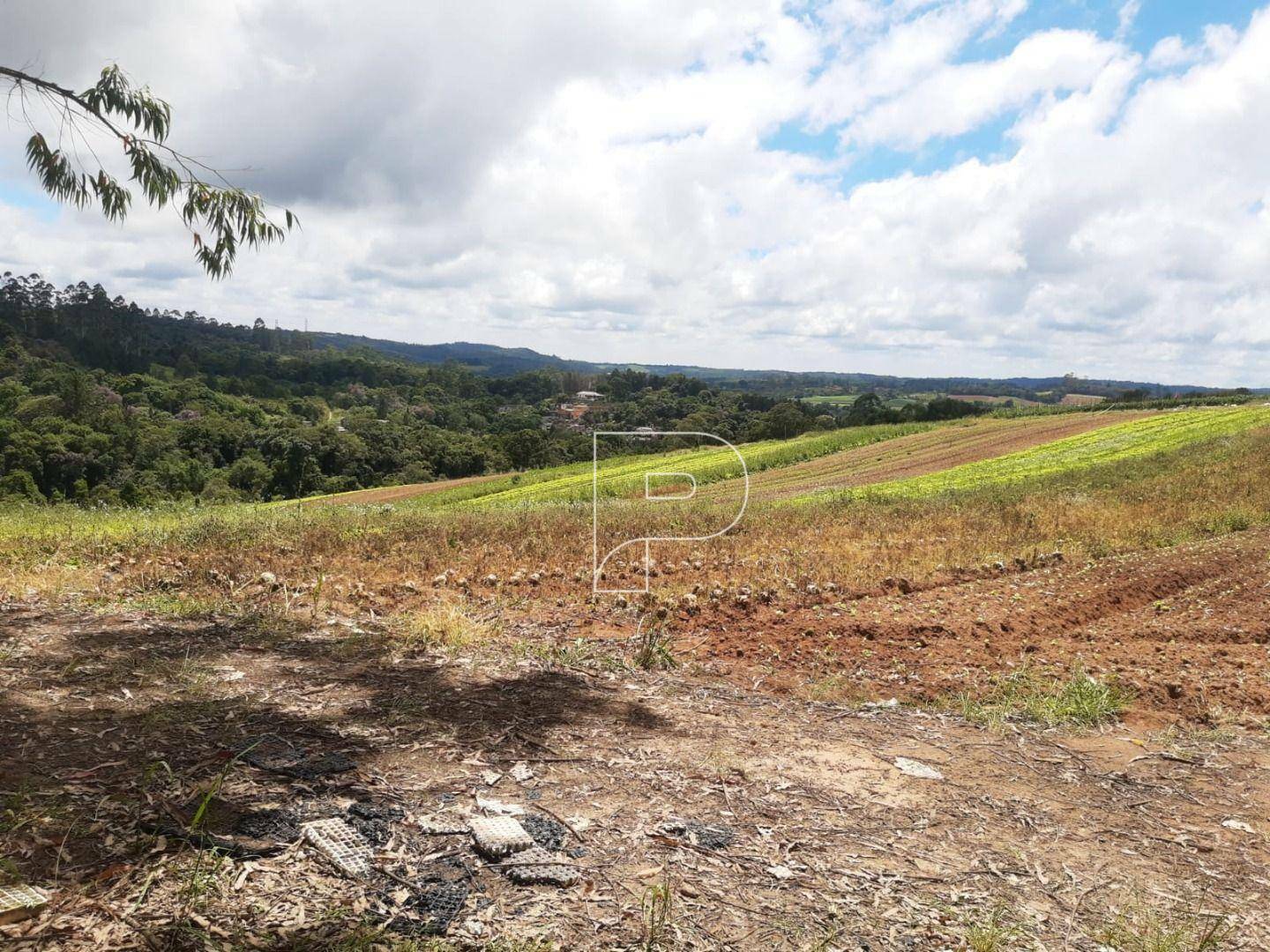 Terreno à venda, 39000M2 - Foto 32