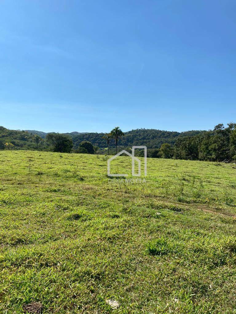 Fazenda à venda com 3 quartos, 21217700000M2 - Foto 6