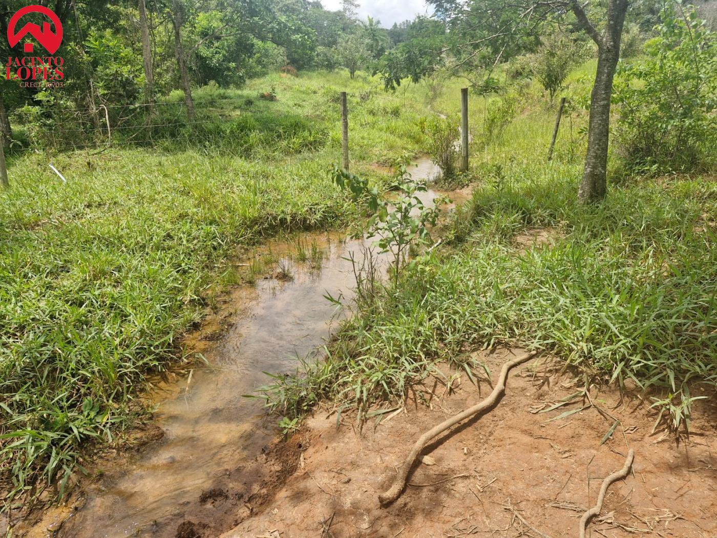 Fazenda à venda com 2 quartos, 120m² - Foto 59