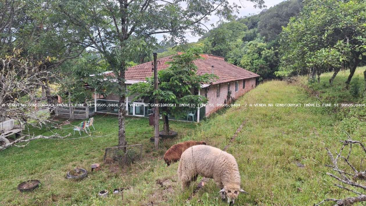 Sítio, 20 m² - Foto 4