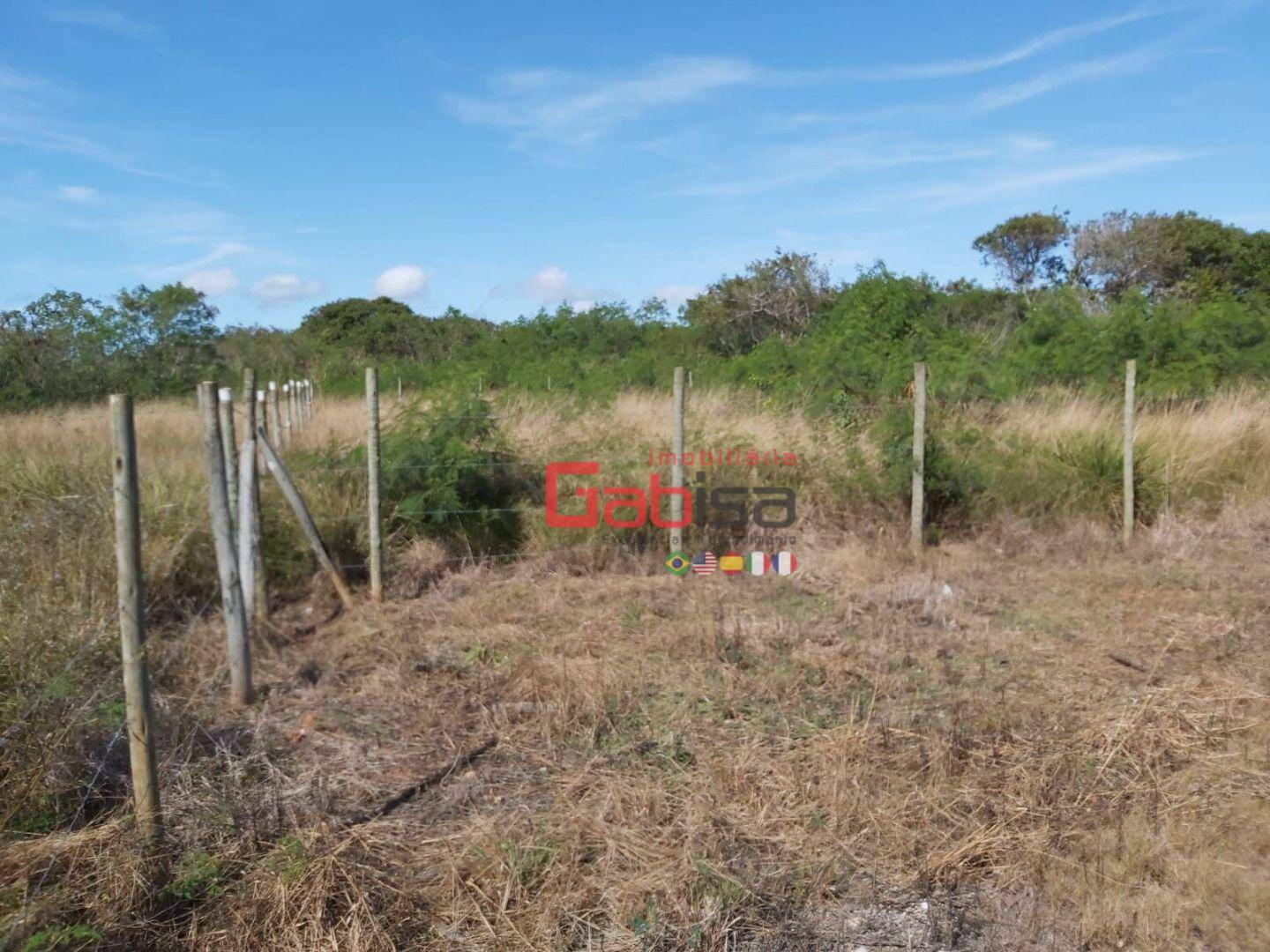 Terreno à venda, 1000M2 - Foto 2