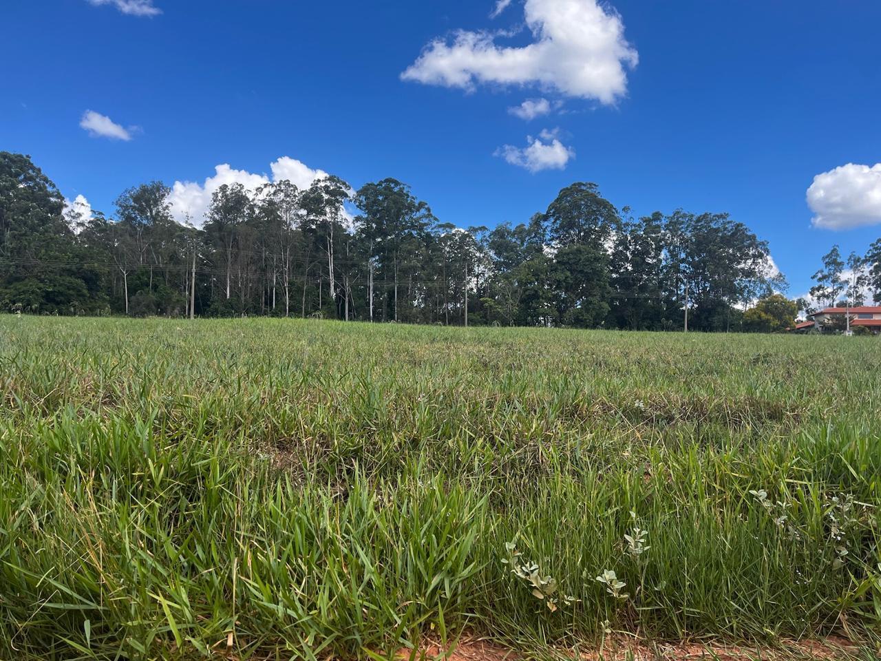 Terreno à venda, 544m² - Foto 3