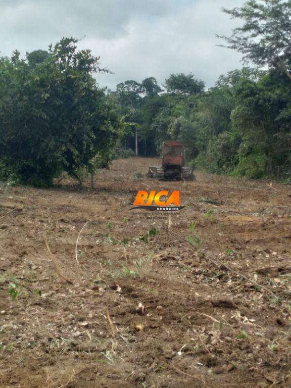 Fazenda, 203 hectares - Foto 4