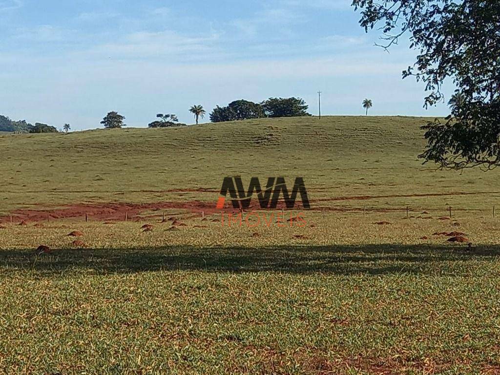 Fazenda à venda, 12100000M2 - Foto 31