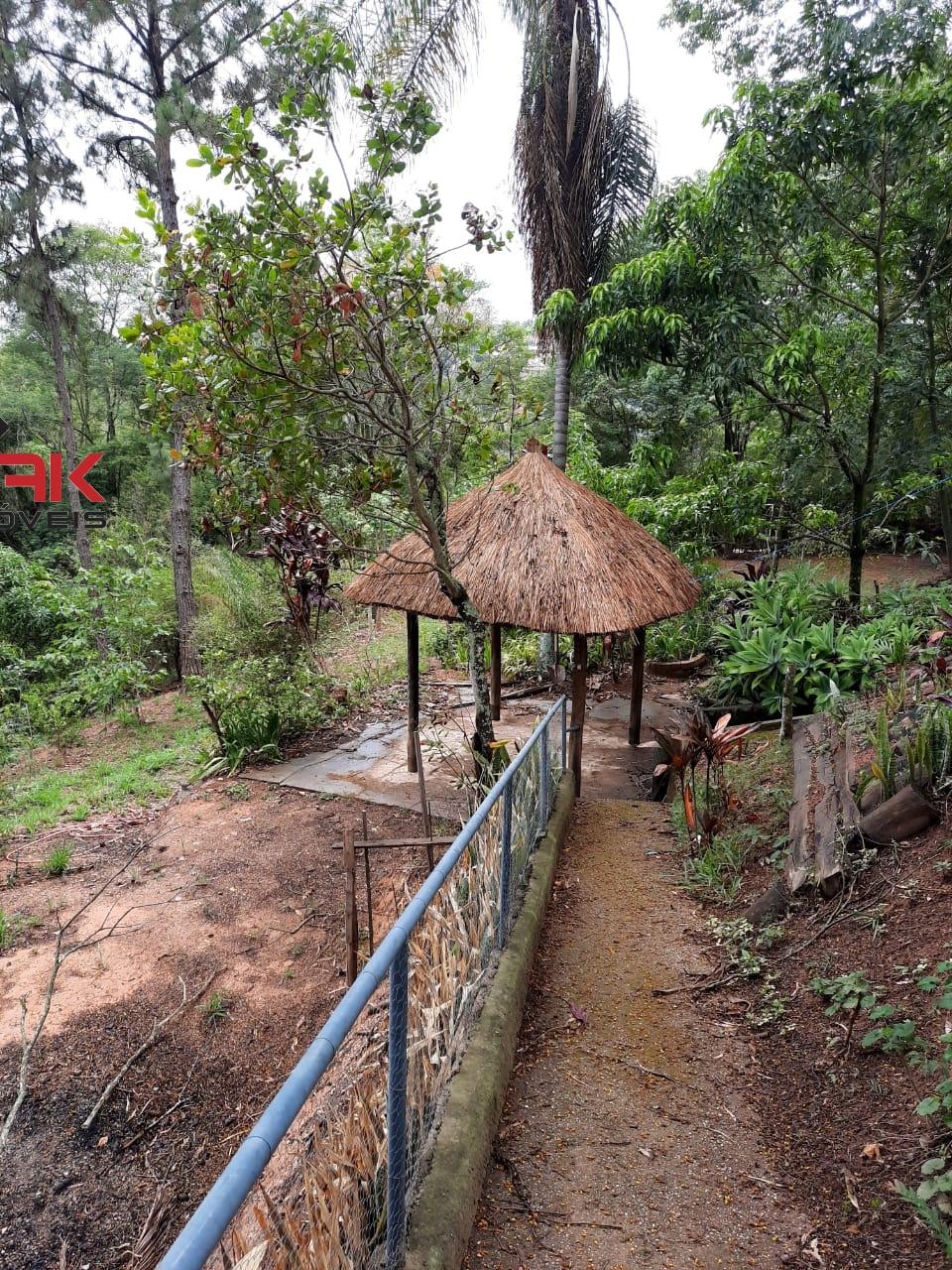 Fazenda à venda com 4 quartos, 3600m² - Foto 25