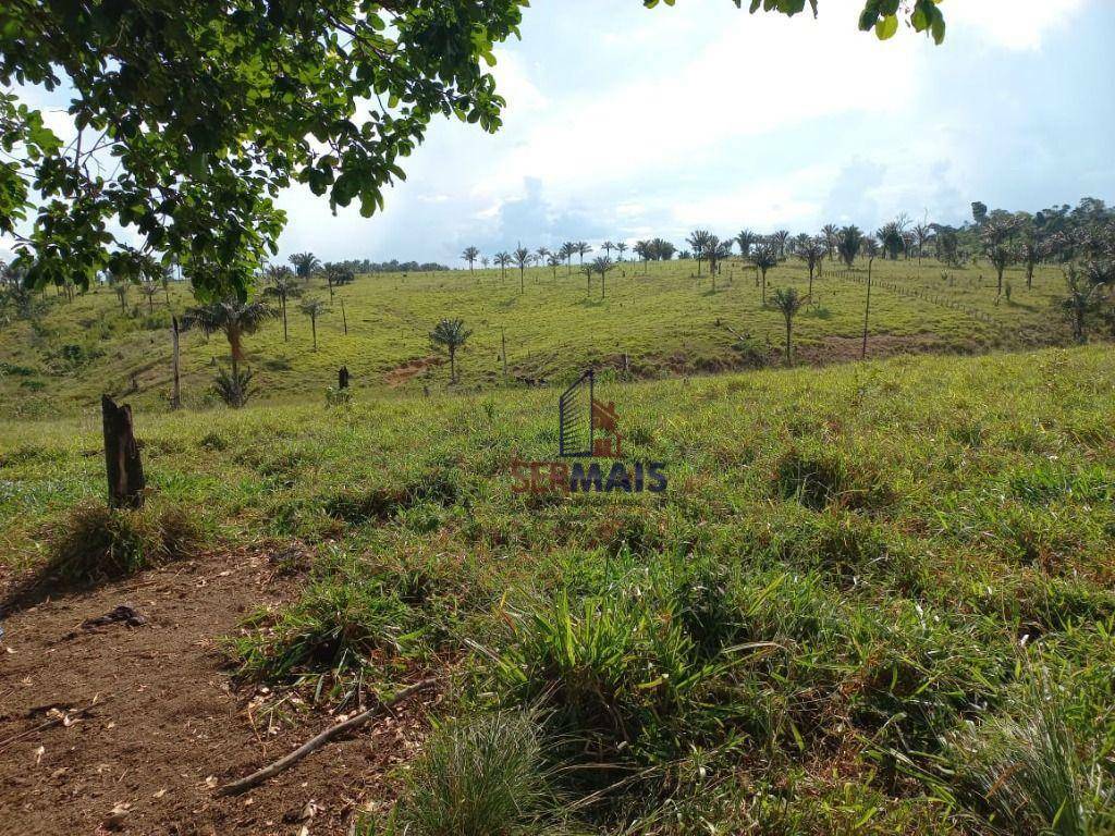 Fazenda à venda com 4 quartos, 6001600M2 - Foto 12