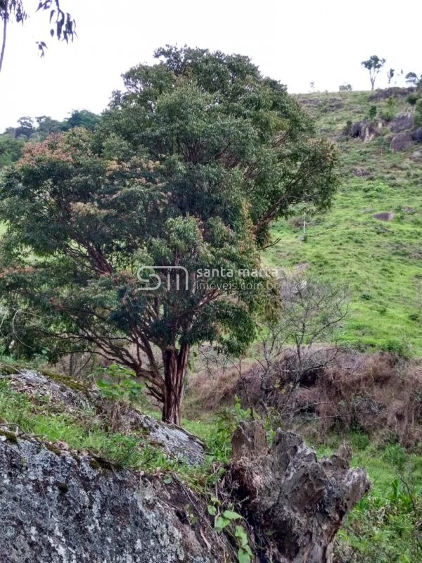 Fazenda à venda, 24m² - Foto 28