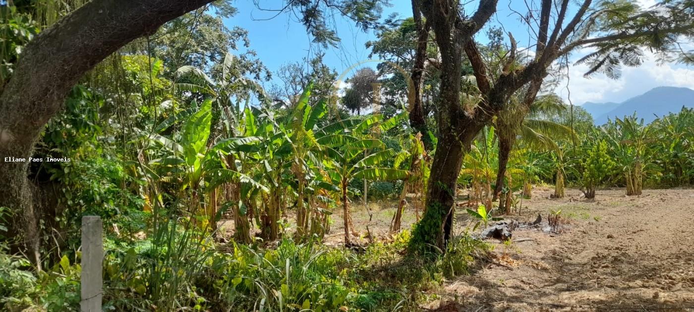 Sítio à venda com 4 quartos, 2100m² - Foto 7