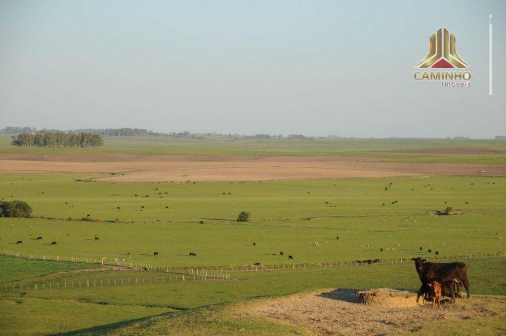 Fazenda à venda com 5 quartos, 33455000M2 - Foto 27