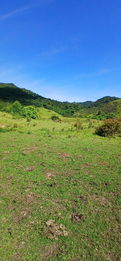 Fazenda à venda com 4 quartos, 257m² - Foto 20