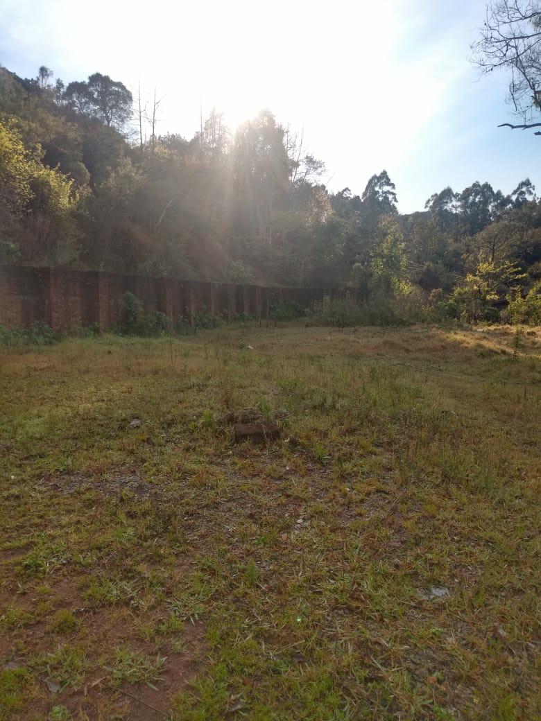 Sítio à venda com 1 quarto, 6000m² - Foto 17