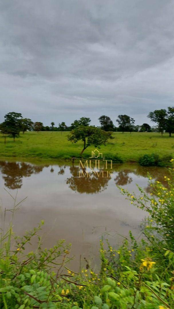 Fazenda à venda, 1500000M2 - Foto 4