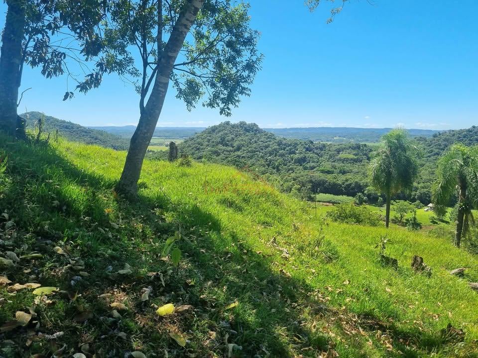 Terreno, 2 m² - Foto 11