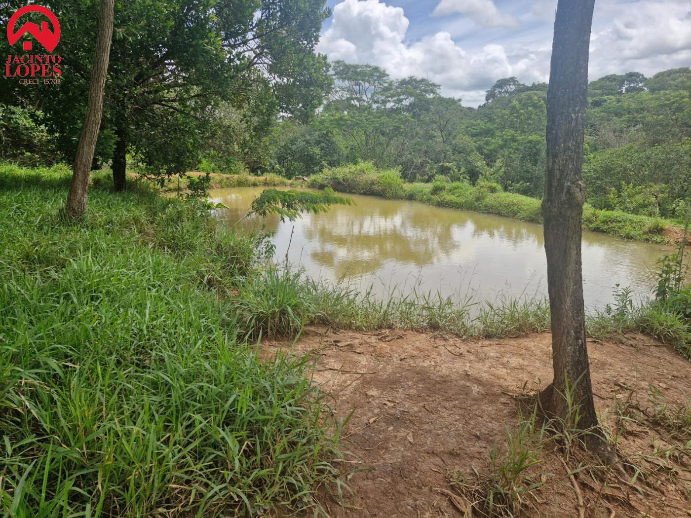 Fazenda à venda com 2 quartos, 120m² - Foto 55