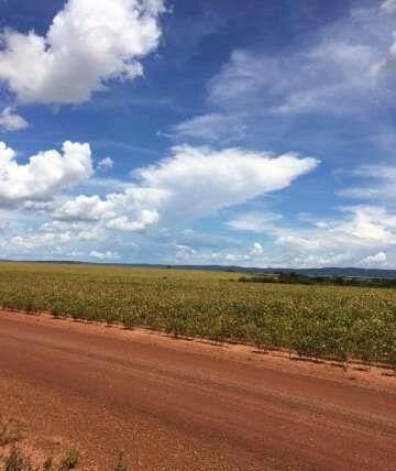 Fazenda à venda, 103000m² - Foto 13