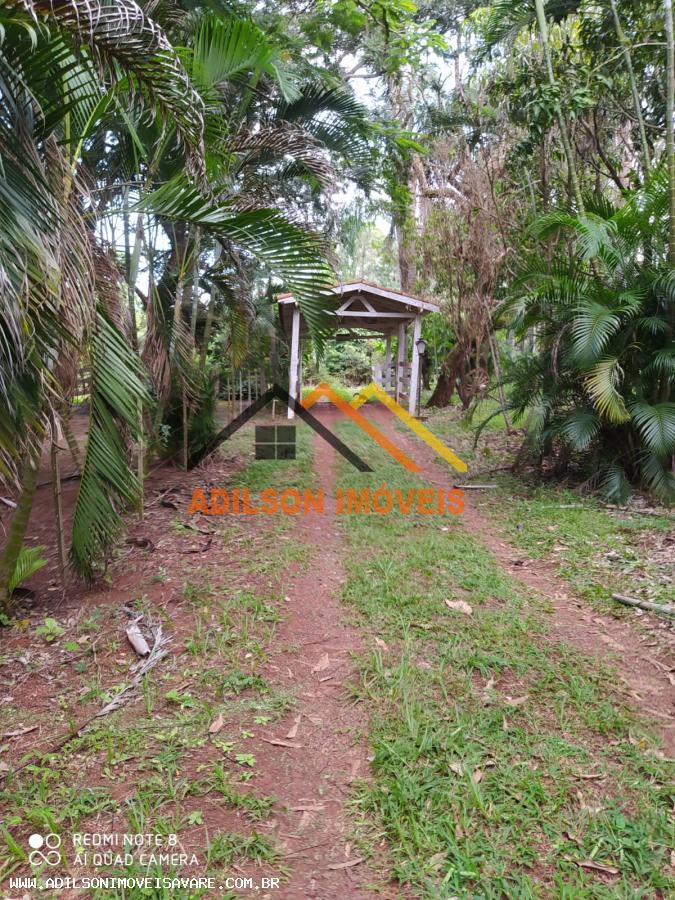 Fazenda à venda com 3 quartos, 2800m² - Foto 4