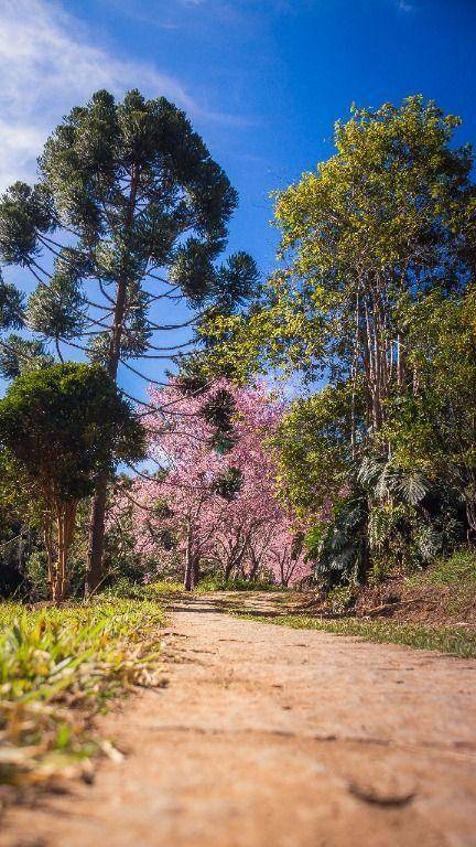 Loteamento e Condomínio à venda, 300M2 - Foto 3