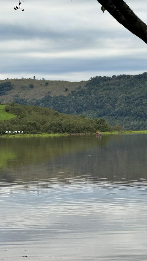 Fazenda à venda com 4 quartos, 5000m² - Foto 6