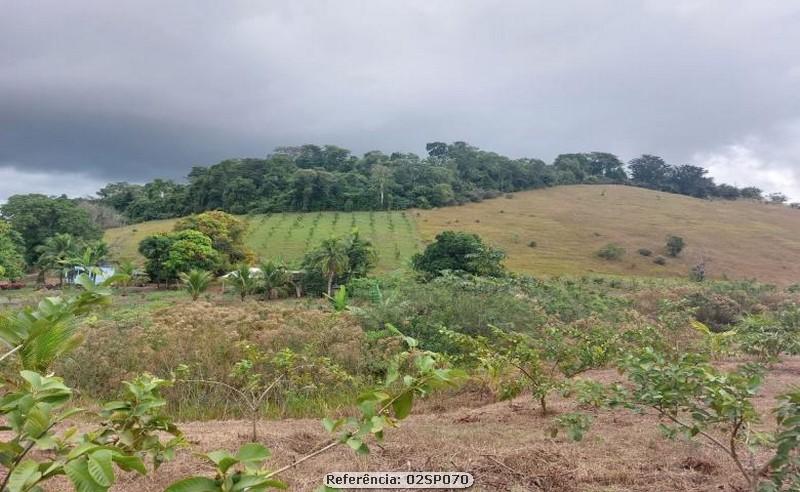 Fazenda à venda com 2 quartos, 170000m² - Foto 12