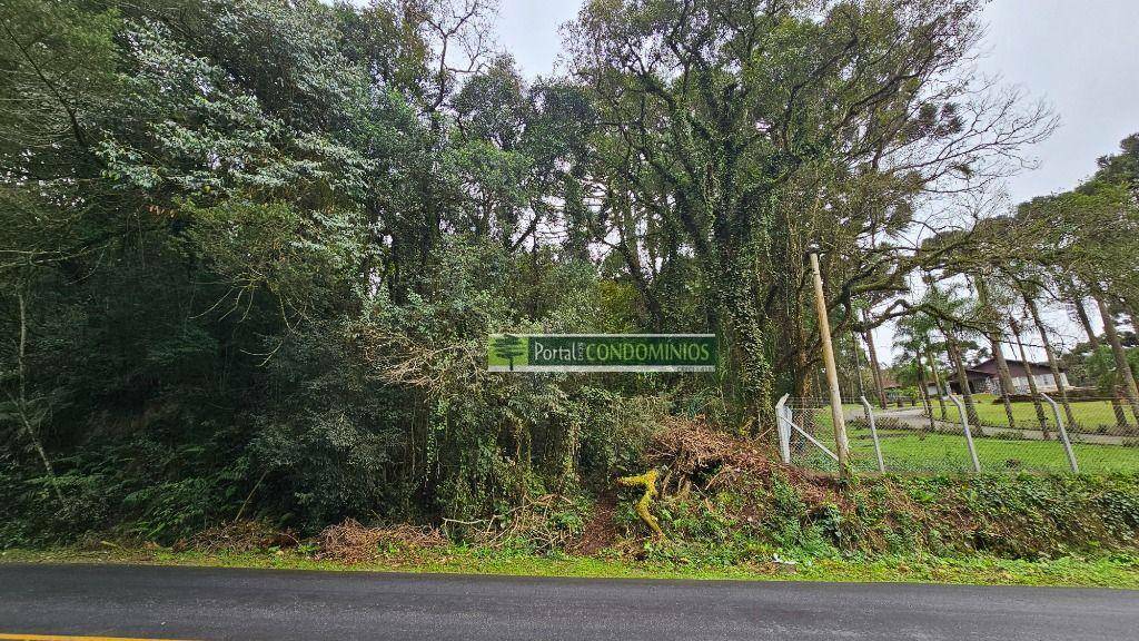 Terreno, 7 hectares - Foto 7