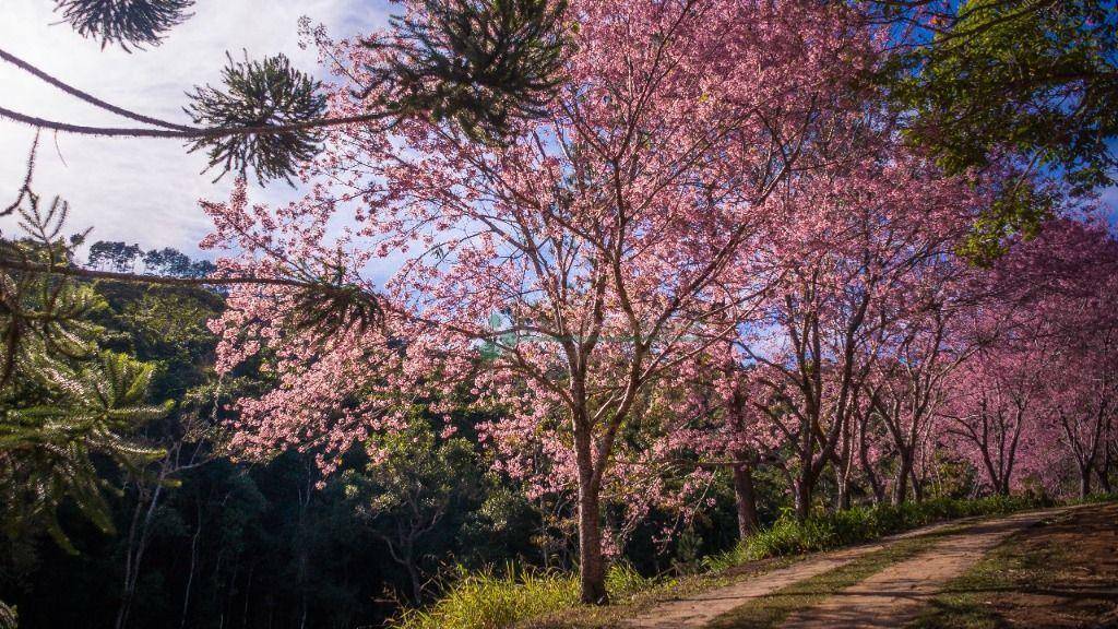 Loteamento e Condomínio à venda, 300M2 - Foto 2