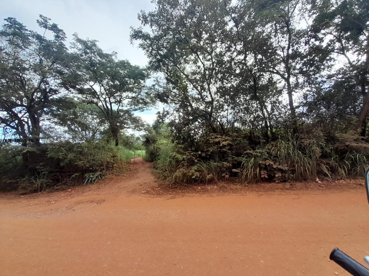 Terreno à venda, 130000m² - Foto 5